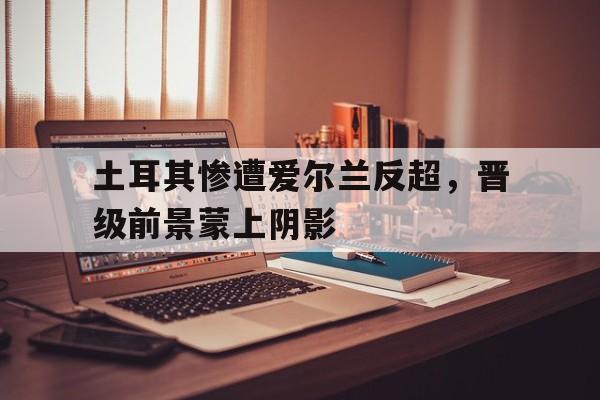 土耳其和爱尔兰